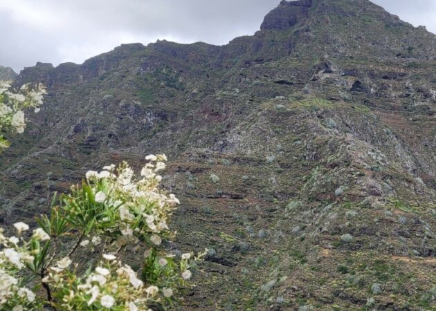 Anaga - Puntade Hidalgo