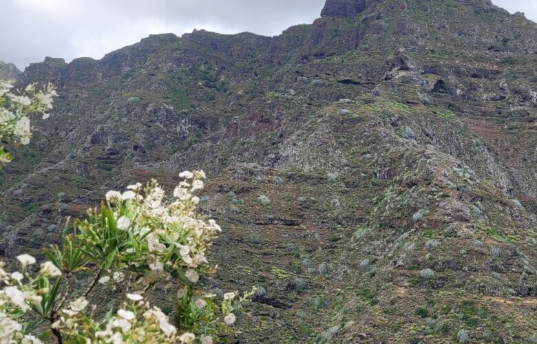 Anaga - Puntade Hidalgo