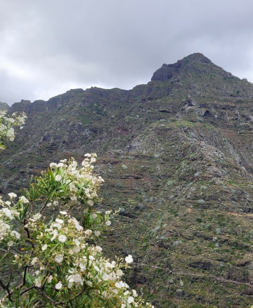 Anaga - Puntade Hidalgo