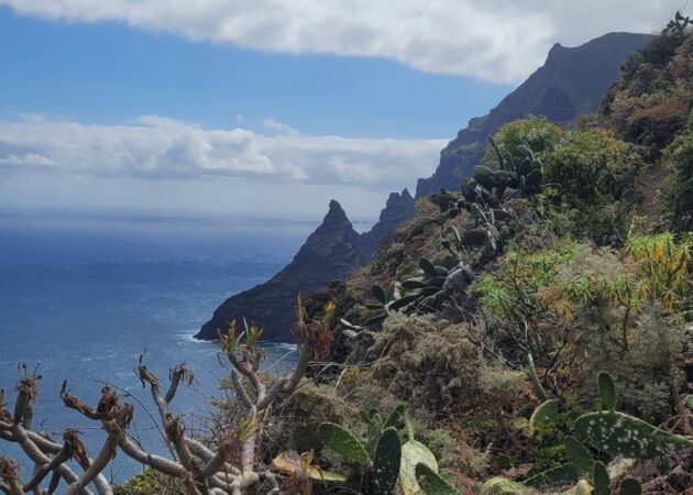 Anaga - Punta de Hidalgo