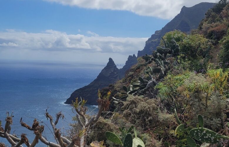 Anaga - Punta de Hidalgo