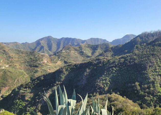 Anaga - Punta de Hidalgo