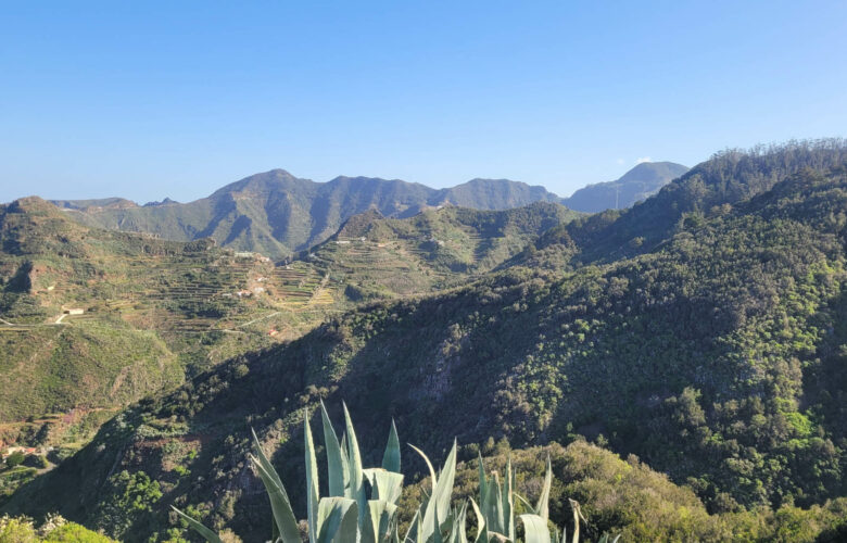Anaga - Punta de Hidalgo