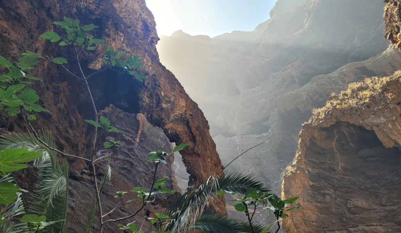 Masca