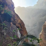 Masca