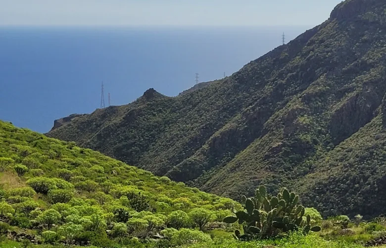 Anaga - San Andrés