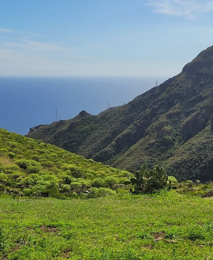 Anaga - San Andrés