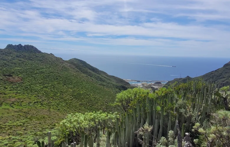 Anaga - San Andrés