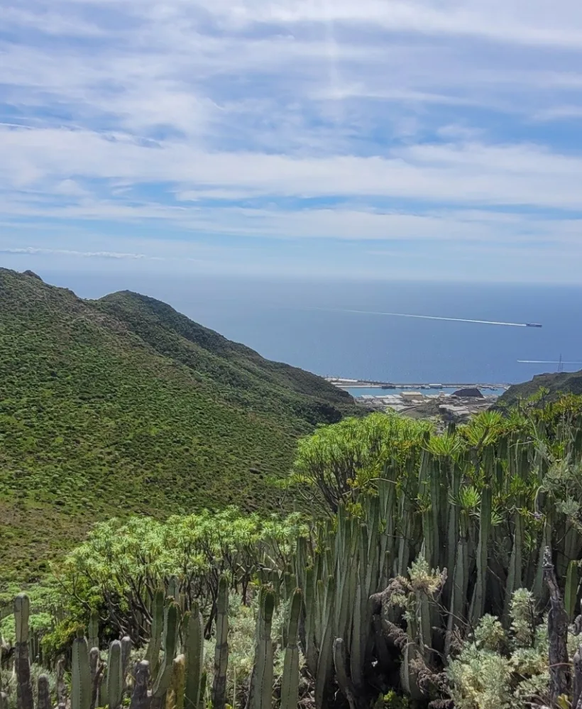 Anaga - San Andrés