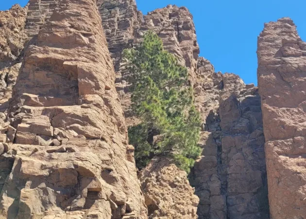 Parque Nacional Los Roques de García