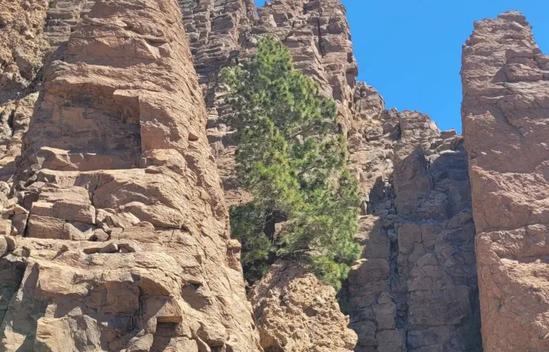 Parque Nacional Los Roques de García