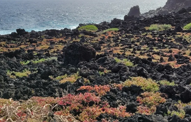 Malpais de Güimar
