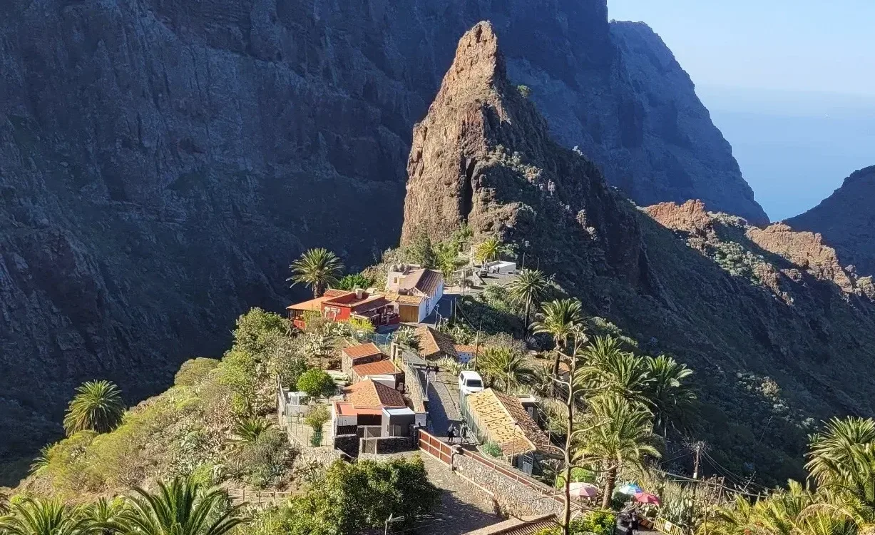 Teno Masca barranco