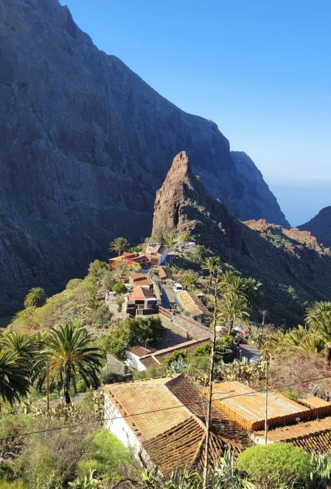 Teno Masca barranco