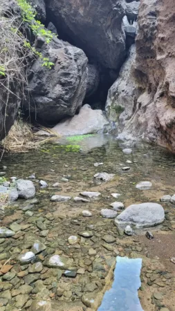 Teno Masca barranco