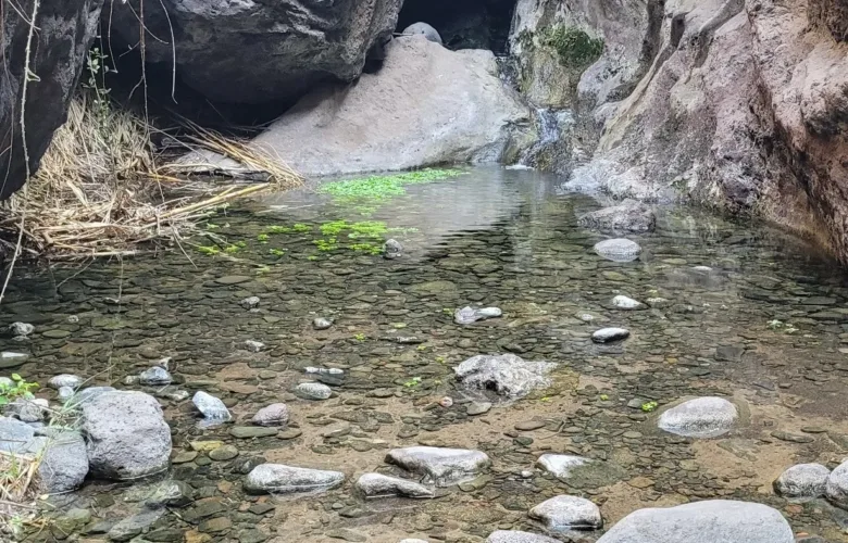 Teno Masca barranco
