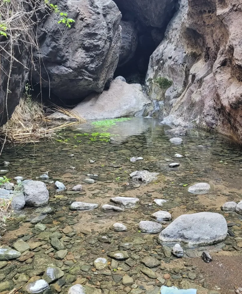 Teno Masca barranco