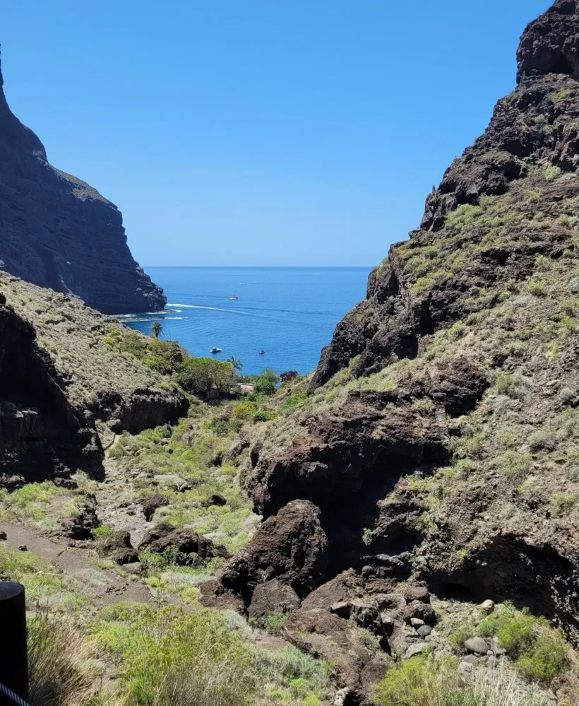 Teno Masca barranco