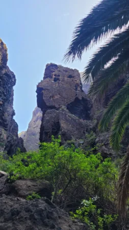 Teno Masca barranco