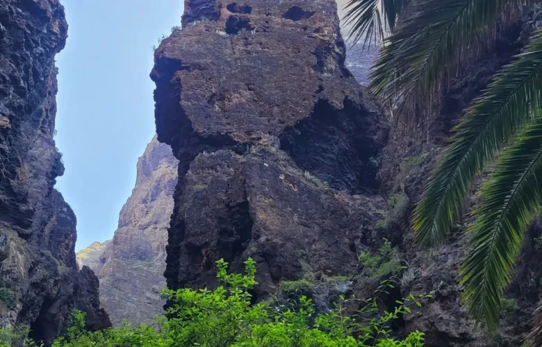 Teno Masca barranco