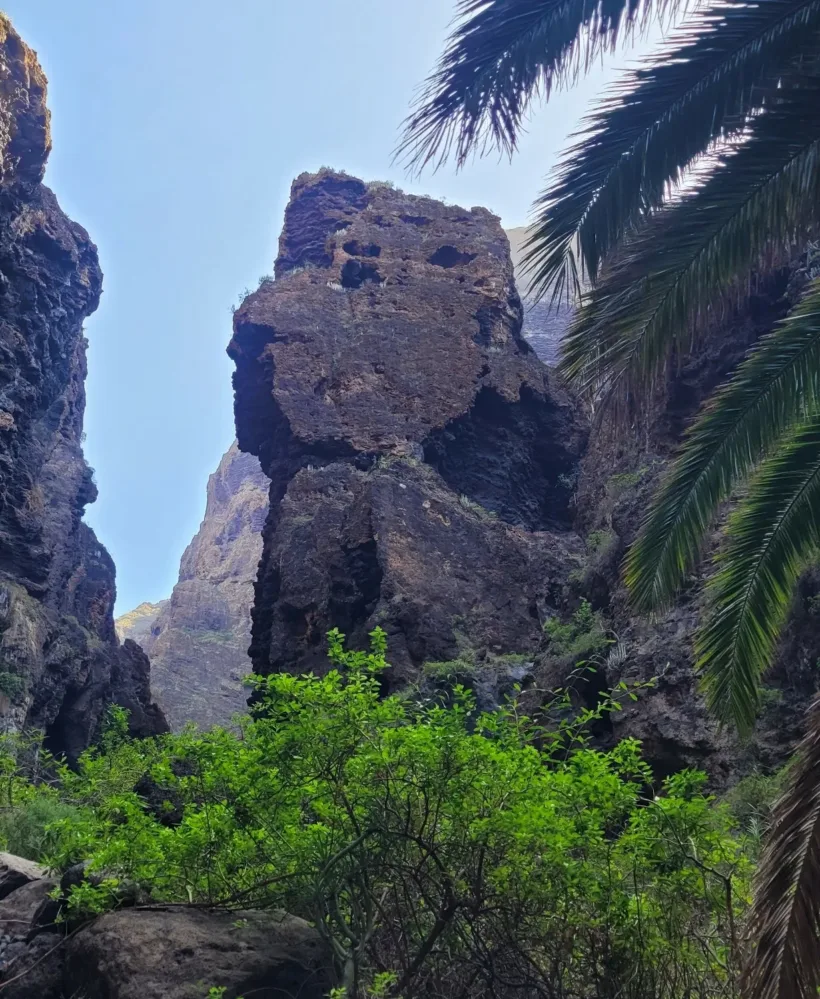 Teno Masca barranco