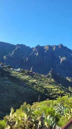 Teno Masca barranco