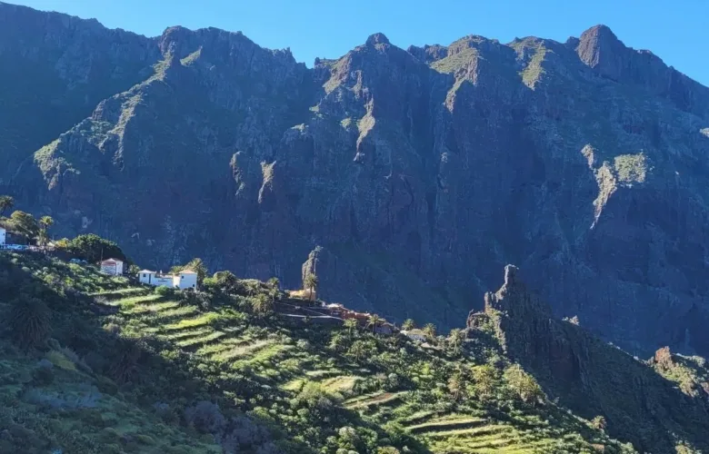 Teno Masca barranco