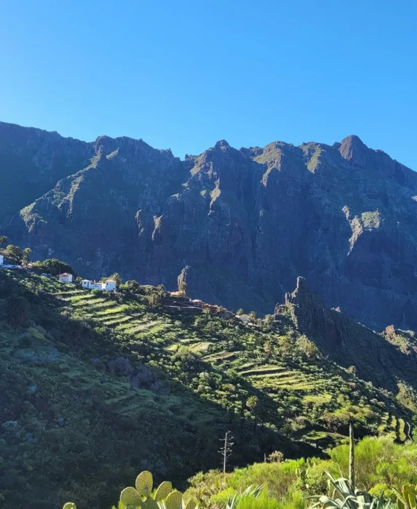 Teno Masca barranco