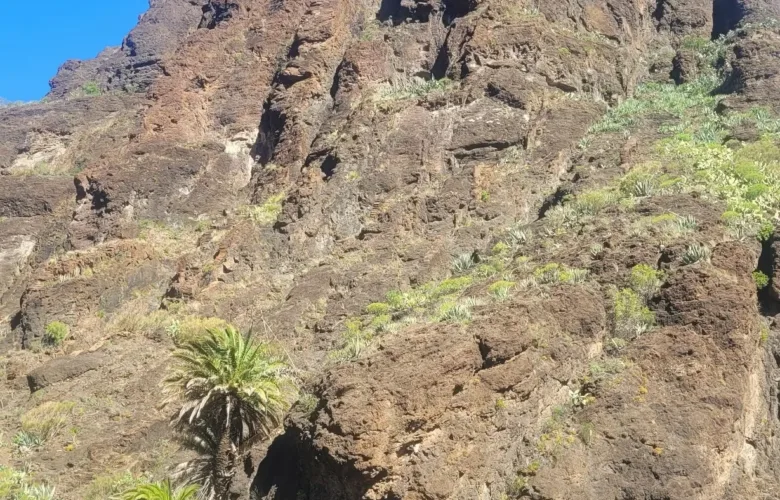 Teno Masca barranco