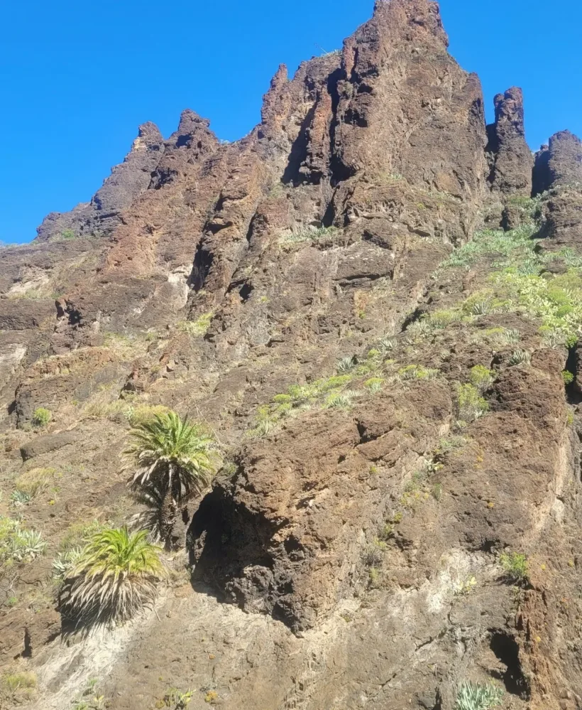 Teno Masca barranco