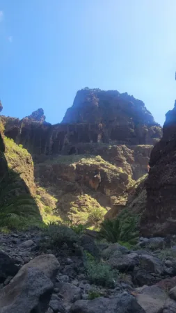 Teno Masca barranco