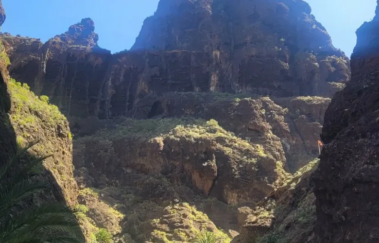 Teno Masca barranco