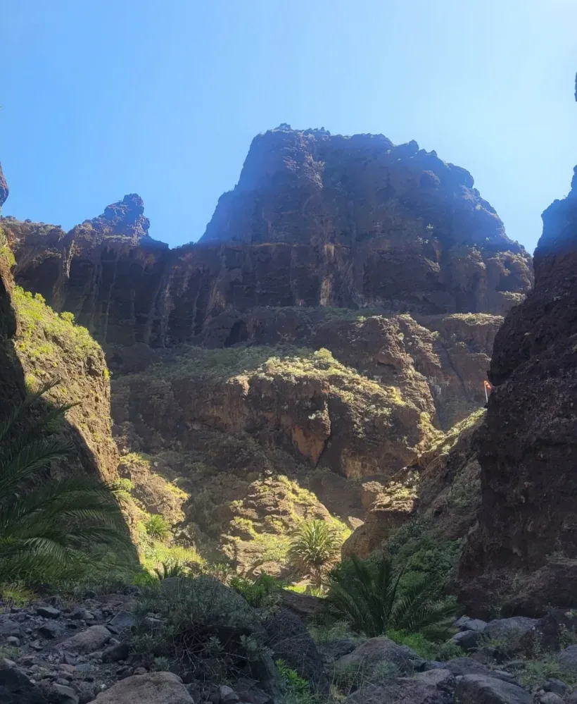 Teno Masca barranco