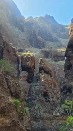Teno Masca barranco