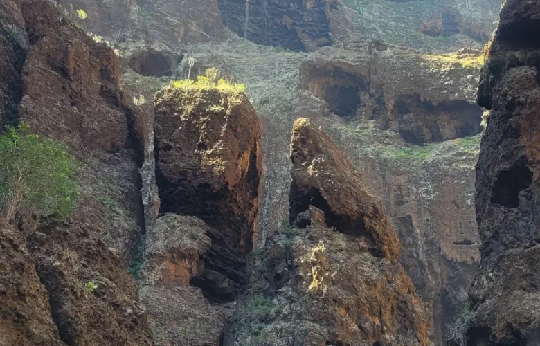Teno Masca barranco