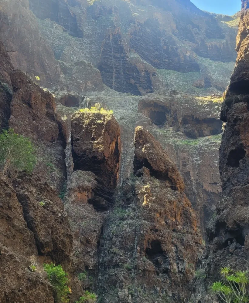 Teno Masca barranco