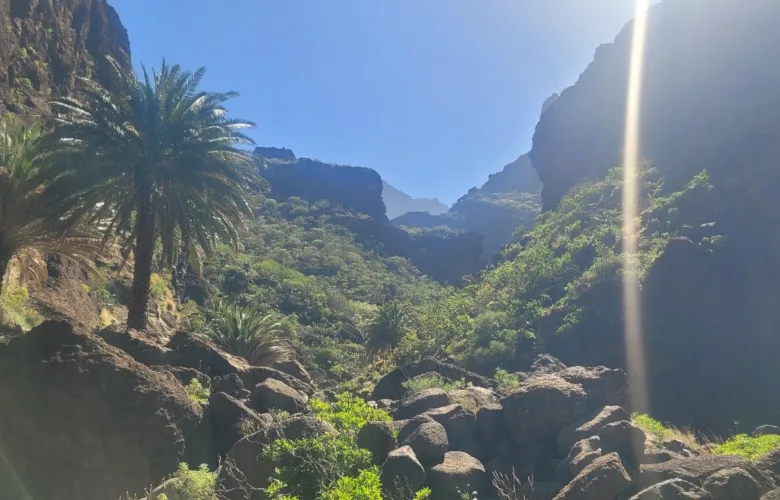 Teno Masca barranco