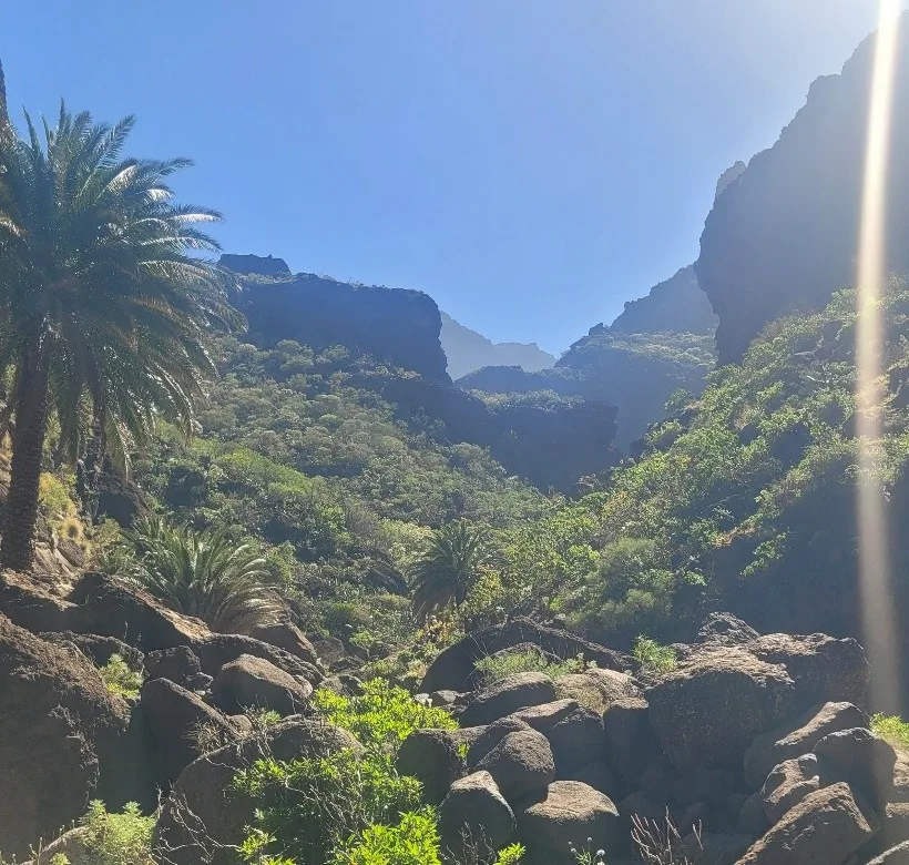 Teno Masca barranco