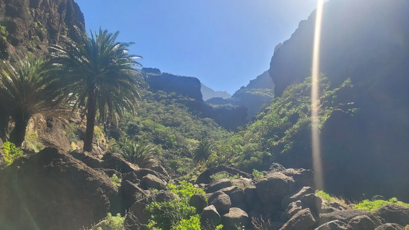 Teno Masca barranco