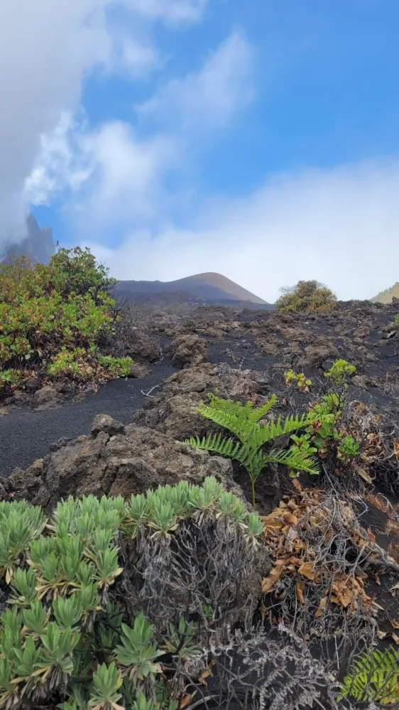 Volcán de Arafo