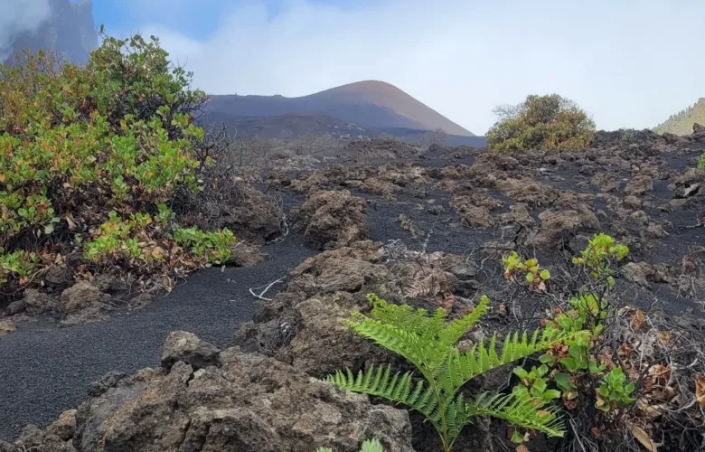 Volcán de Arafo