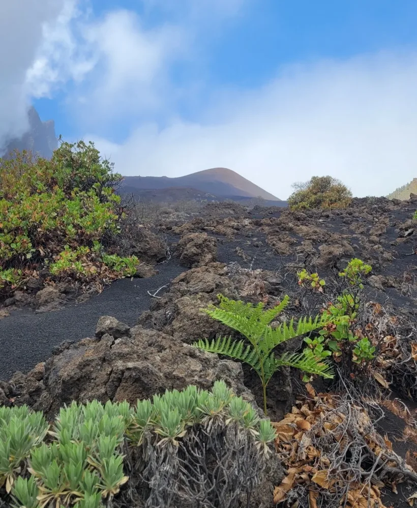 Volcán de Arafo