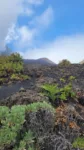 Volcán de Arafo