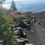 Volcán de Arafo
