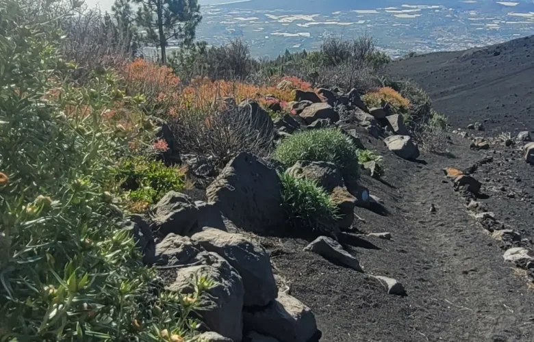Volcán de Arafo