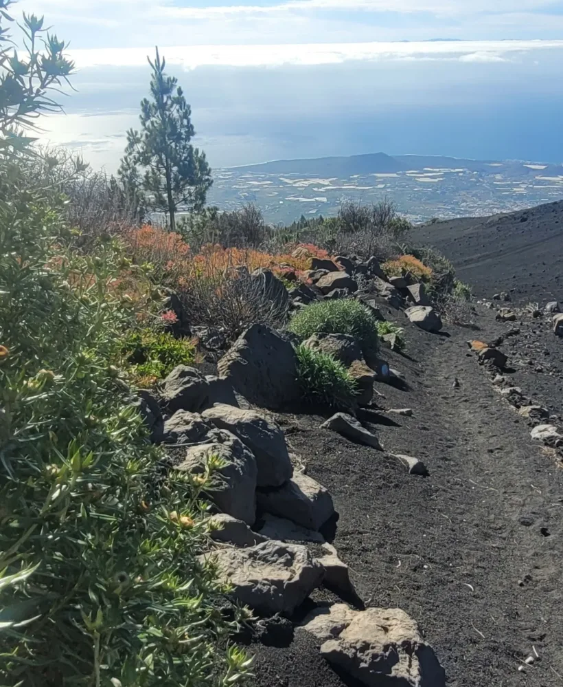 Volcán de Arafo