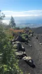 Volcán de Arafo