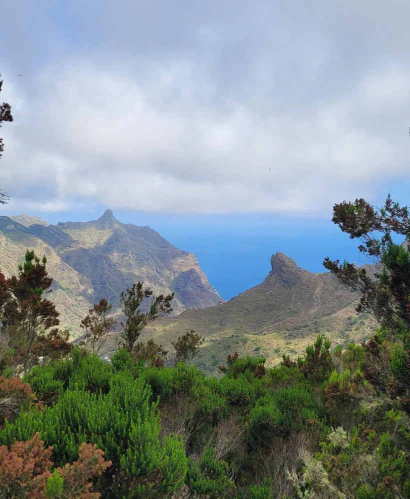 Roque de Taborno