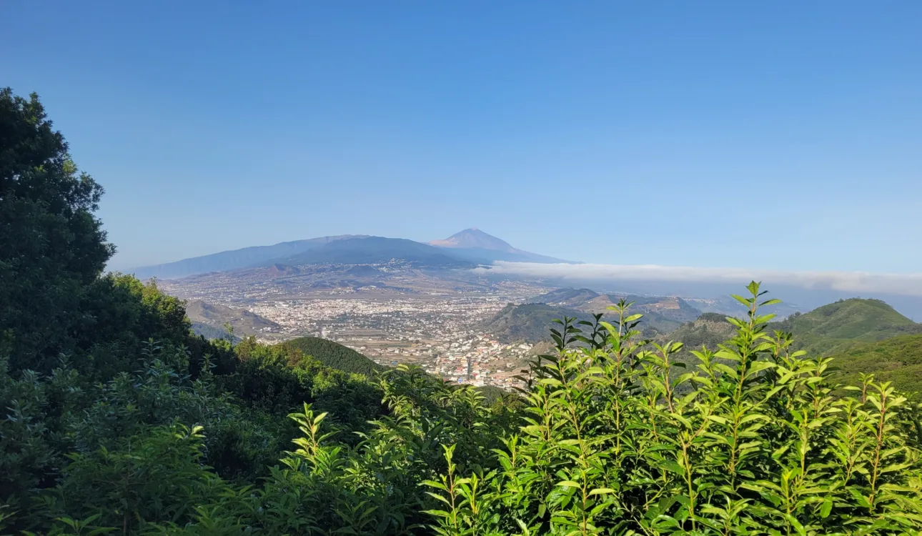 Anaga Cruz del Carmen