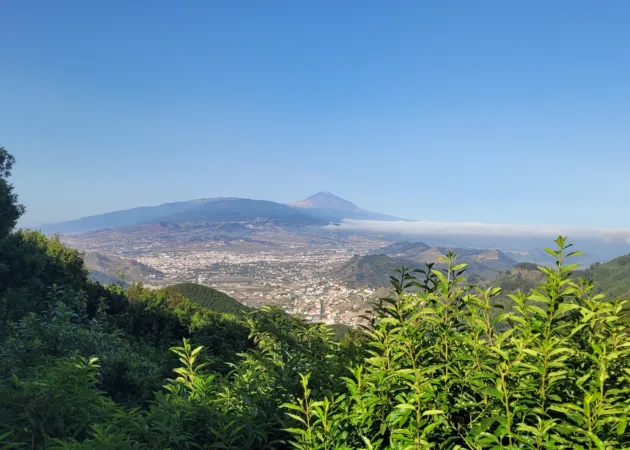 Anaga Cruz del Carmen